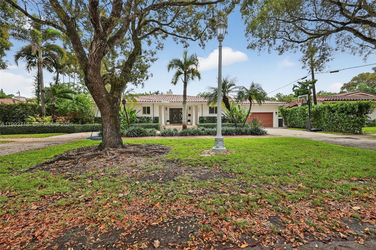 a view of a garden with a tree