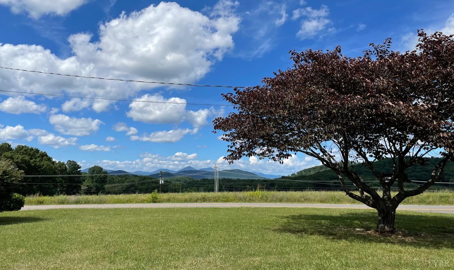 1149 Emmaus Church Road Moneta, VA 24121 - Photo 5 of 51