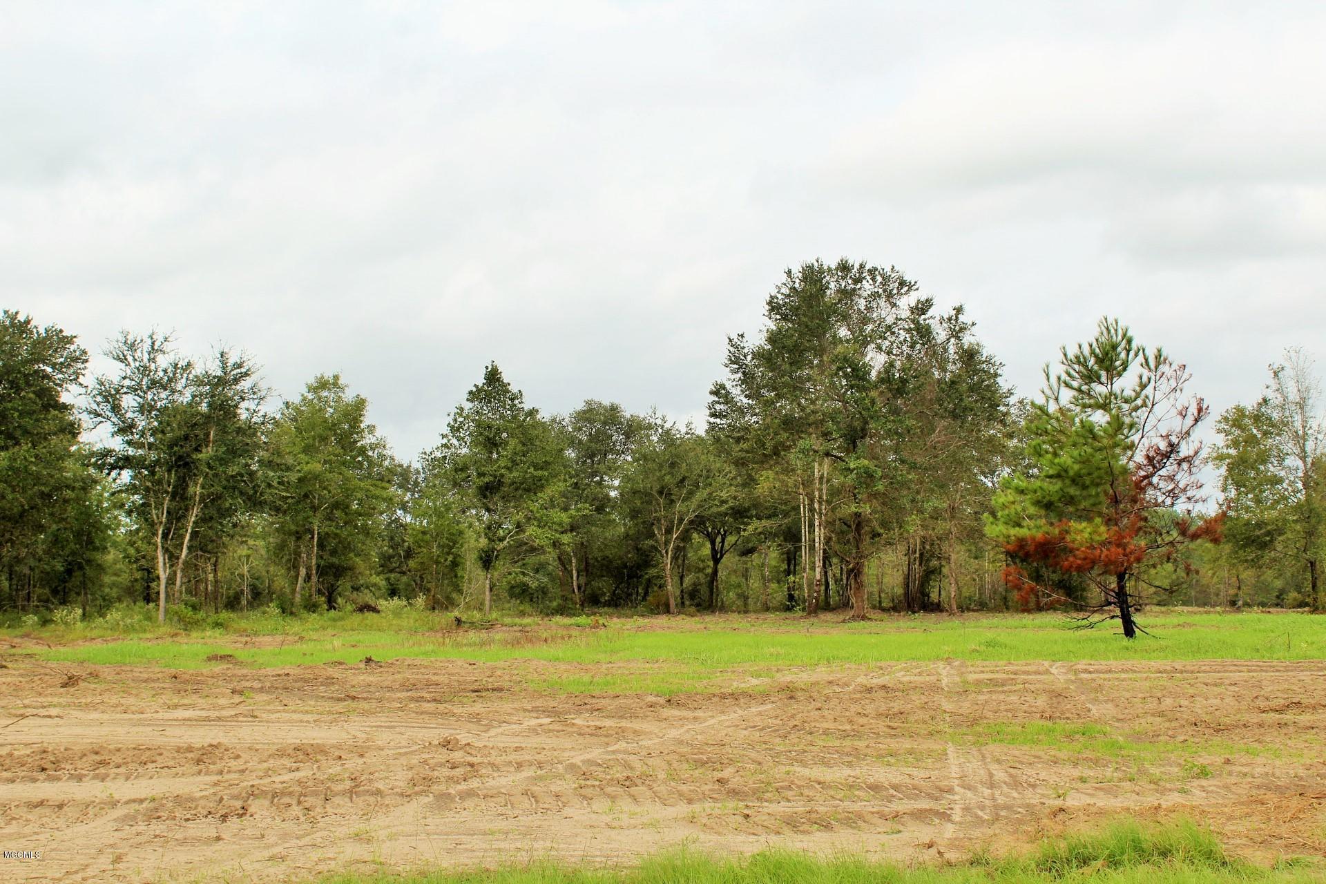11.35-ac Buddy Finch Road Lucedale, MS 39452 - Photo 5 of 9 IMG_7869