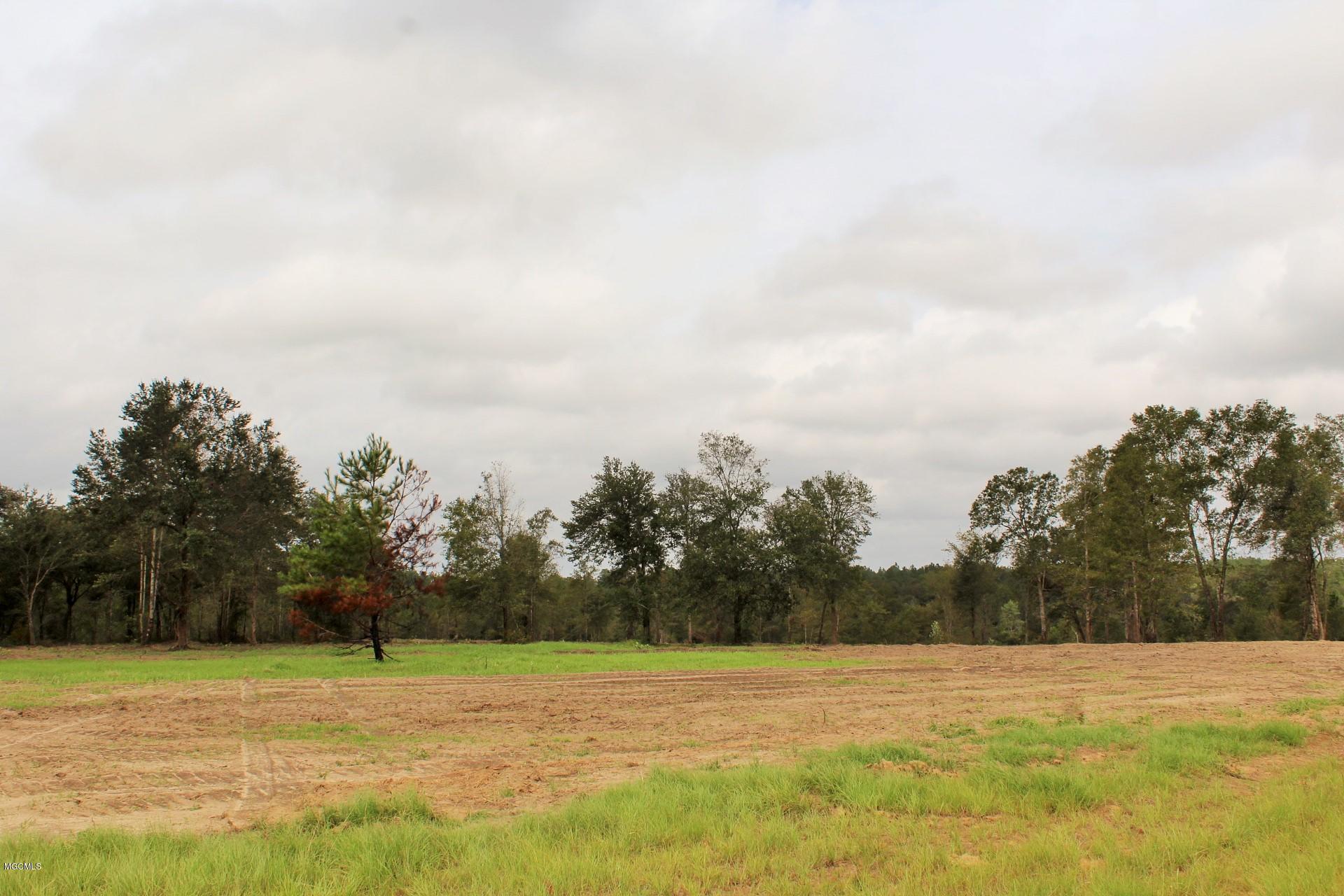 11.35-ac Buddy Finch Road Lucedale, MS 39452 - Photo 6 of 9 IMG_7874