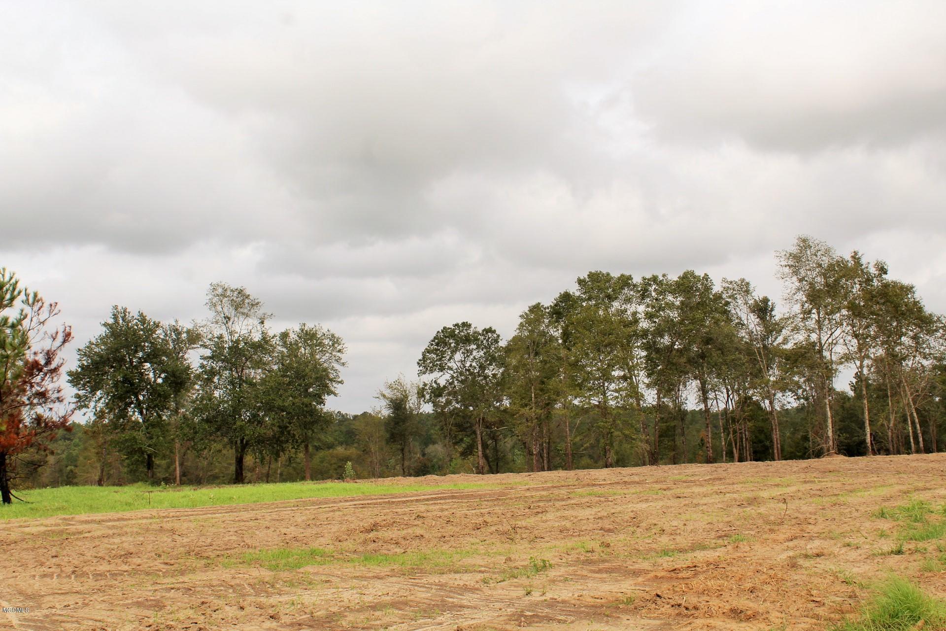 11.35-ac Buddy Finch Road Lucedale, MS 39452 - Photo 8 of 9 IMG_7886