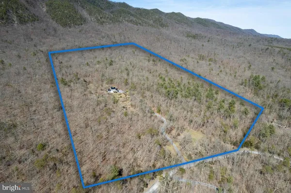 a front view of a house with garden and trees
