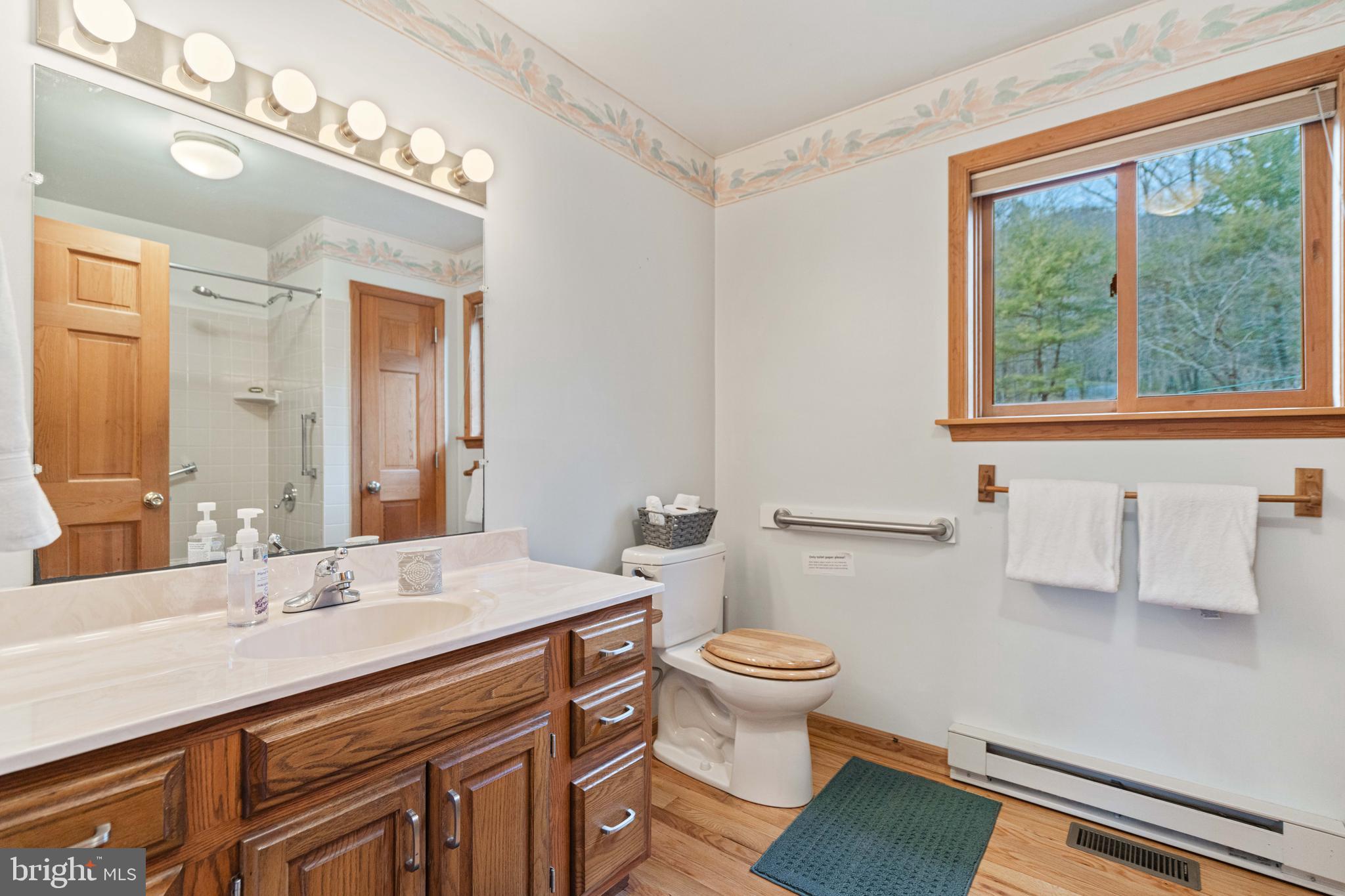 1131 Page Valley Road Luray, VA 22835 - Photo 44 of 81