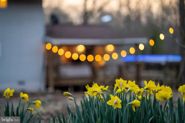 $739,000 | 1131 Page Valley Road, Luray, VA 22835