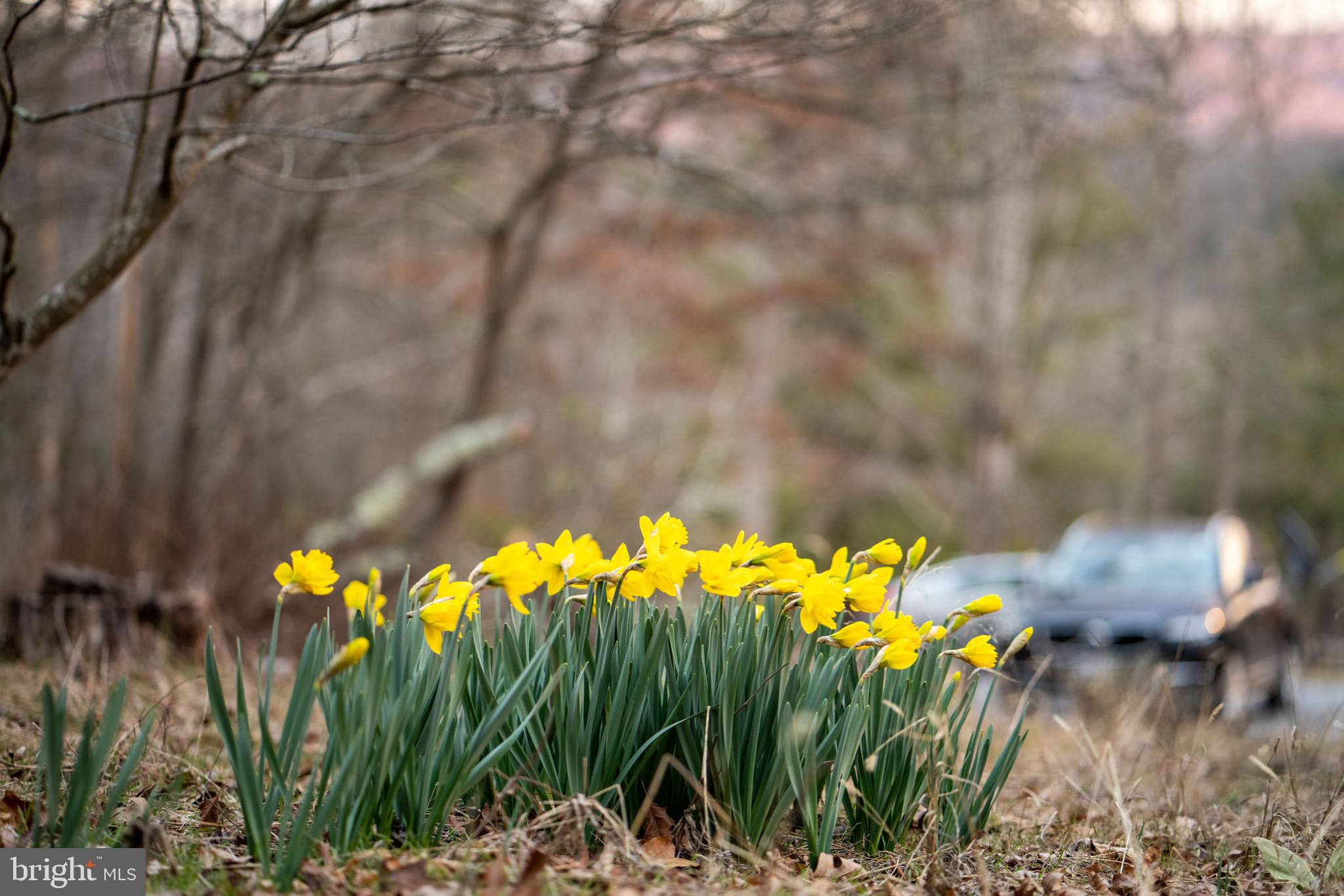 1131 Page Valley Road Luray, VA 22835 - Photo 66 of 81