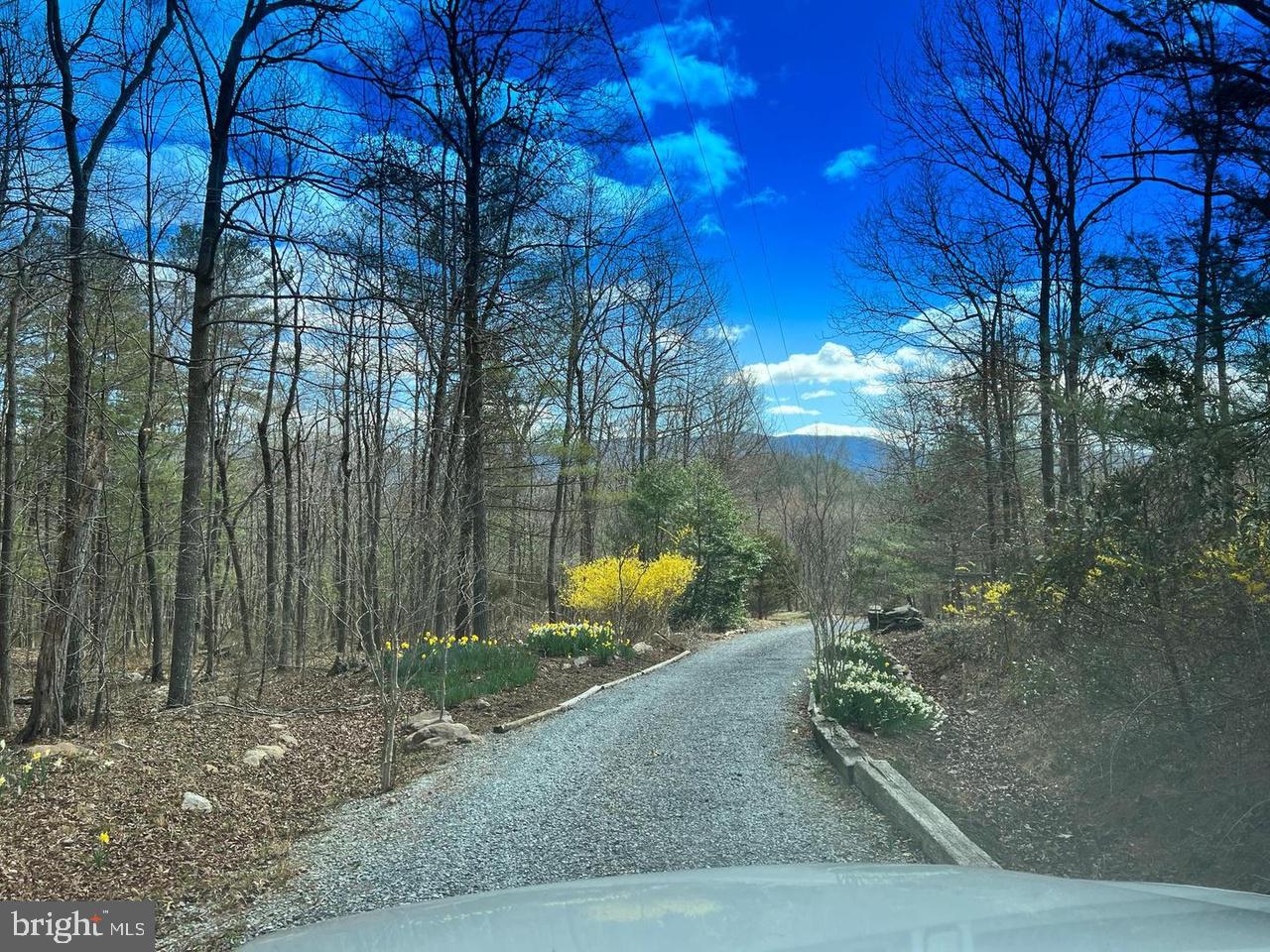 1131 Page Valley Road Luray, VA 22835 - Photo 79 of 81