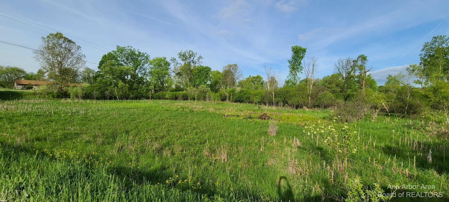 8259 Merrill Road Whitmore Lake, MI 48189 - Photo 8 of 16 Photo 8