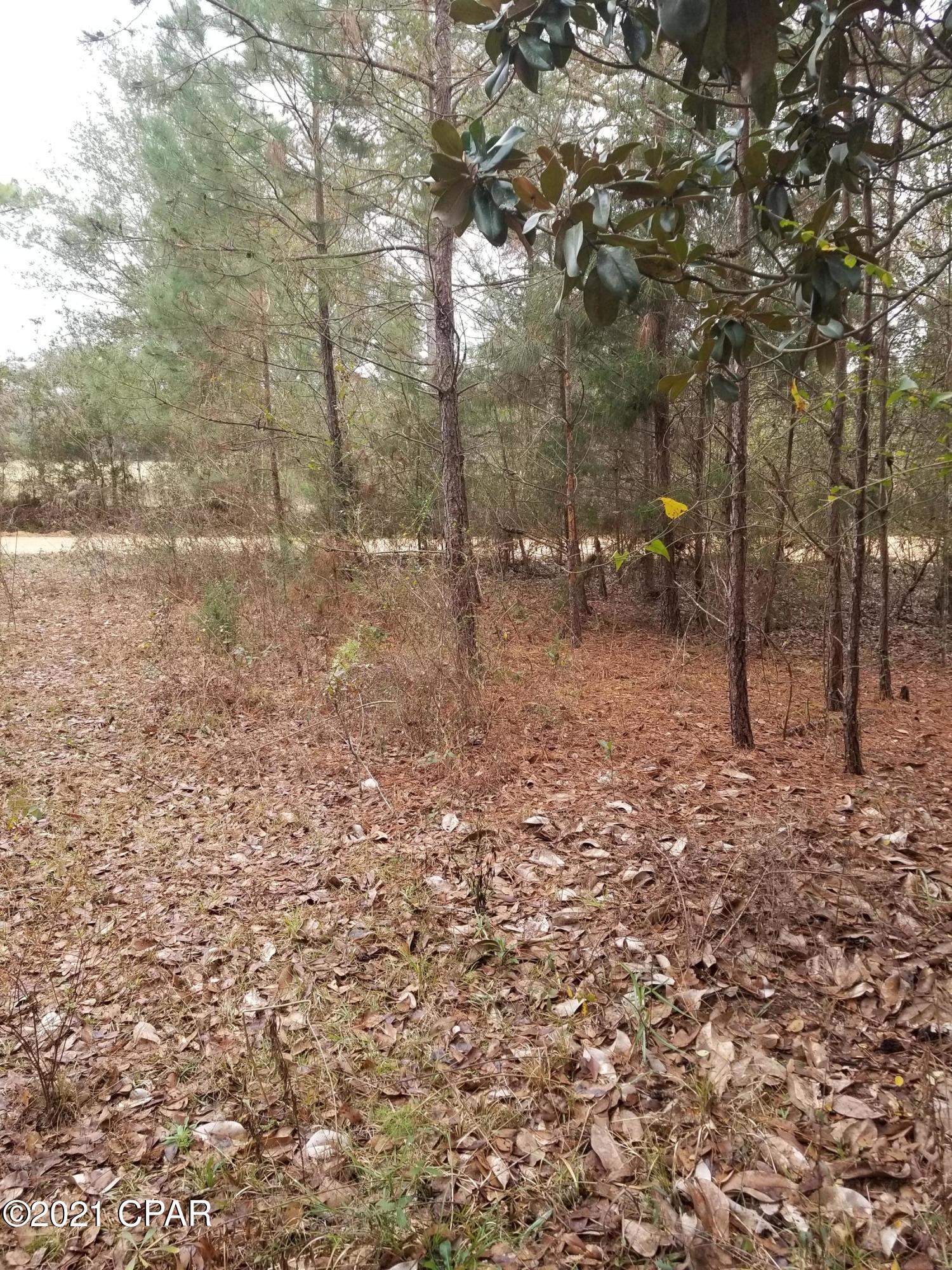 2981 Beall Packing Road Bonifay, FL 32425 - Photo 13 of 38 Gallery Image 13