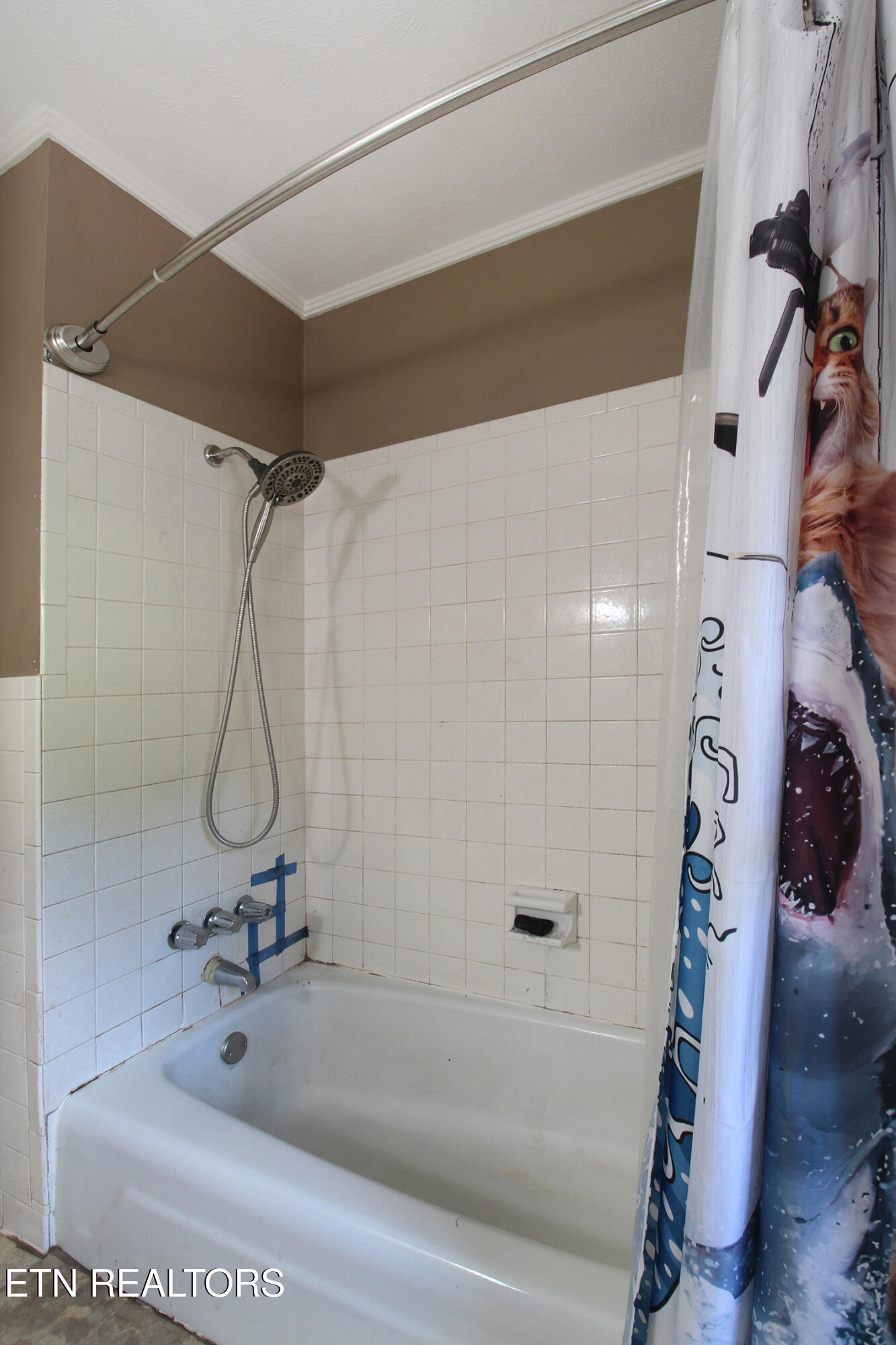 3718 Cherrylog Road Knoxville, TN 37921 - Photo 17 of 31 2nd Bathroom Shower