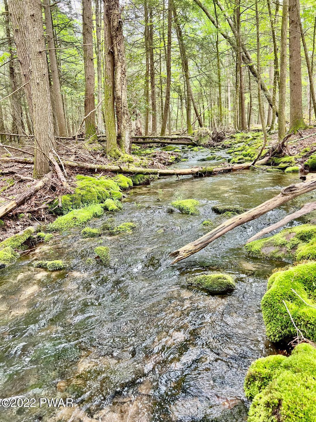 51015 Rowland Road Greeley, PA 18425 - Photo 4 of 9 Creek