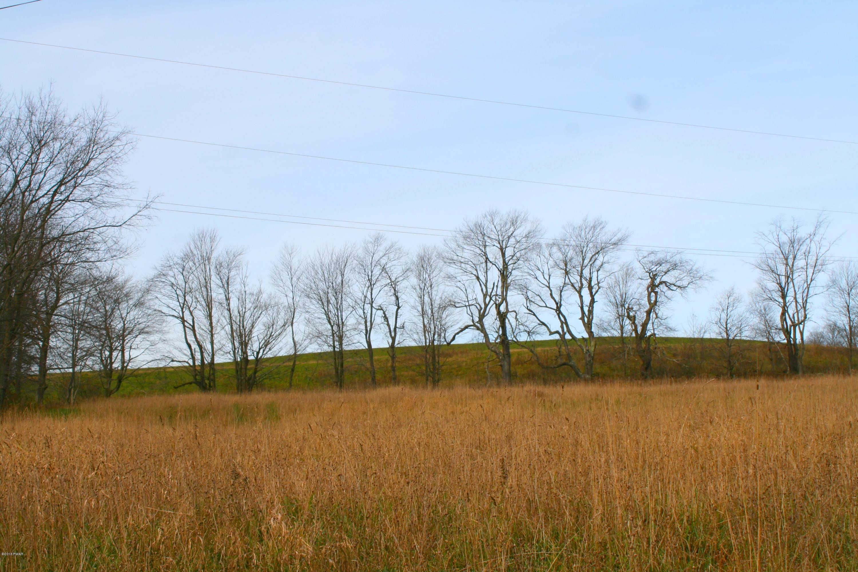 Lot D Lot D North Road Pleasant Mount, PA 18453 - Photo 4 of 9