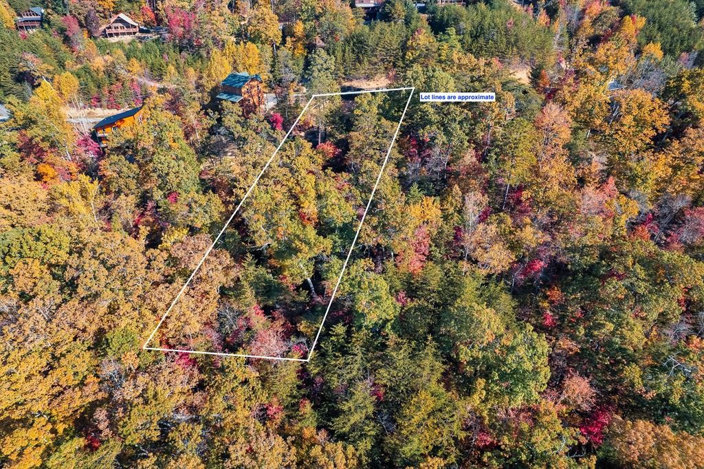 98 Bluff Ridge Road Sevierville, TN 37876 - Photo 8 of 15 Gallery Image 8