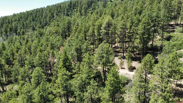 $22,900 | 190 Jackalope Drive, Bayfield, CO 81122
