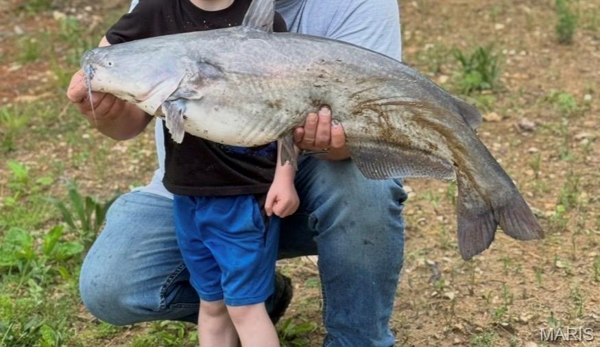 18325 State Rte O Rolla, MO 65401 - Photo 47 of 51