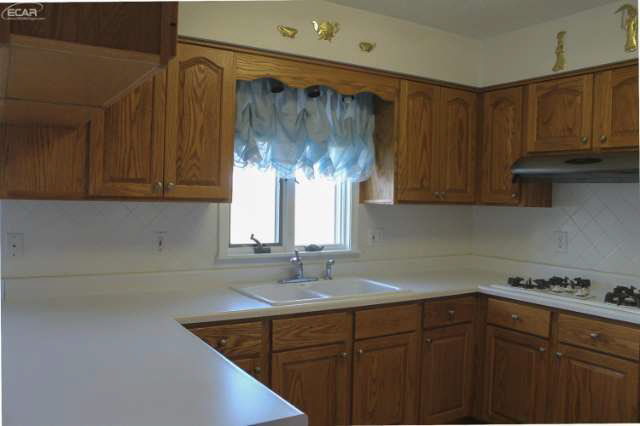 783 East Riley Road Owosso, MI 48867 - Photo 21 of 25 20516264-20.JPG