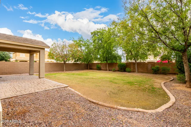 a view of a park with large trees