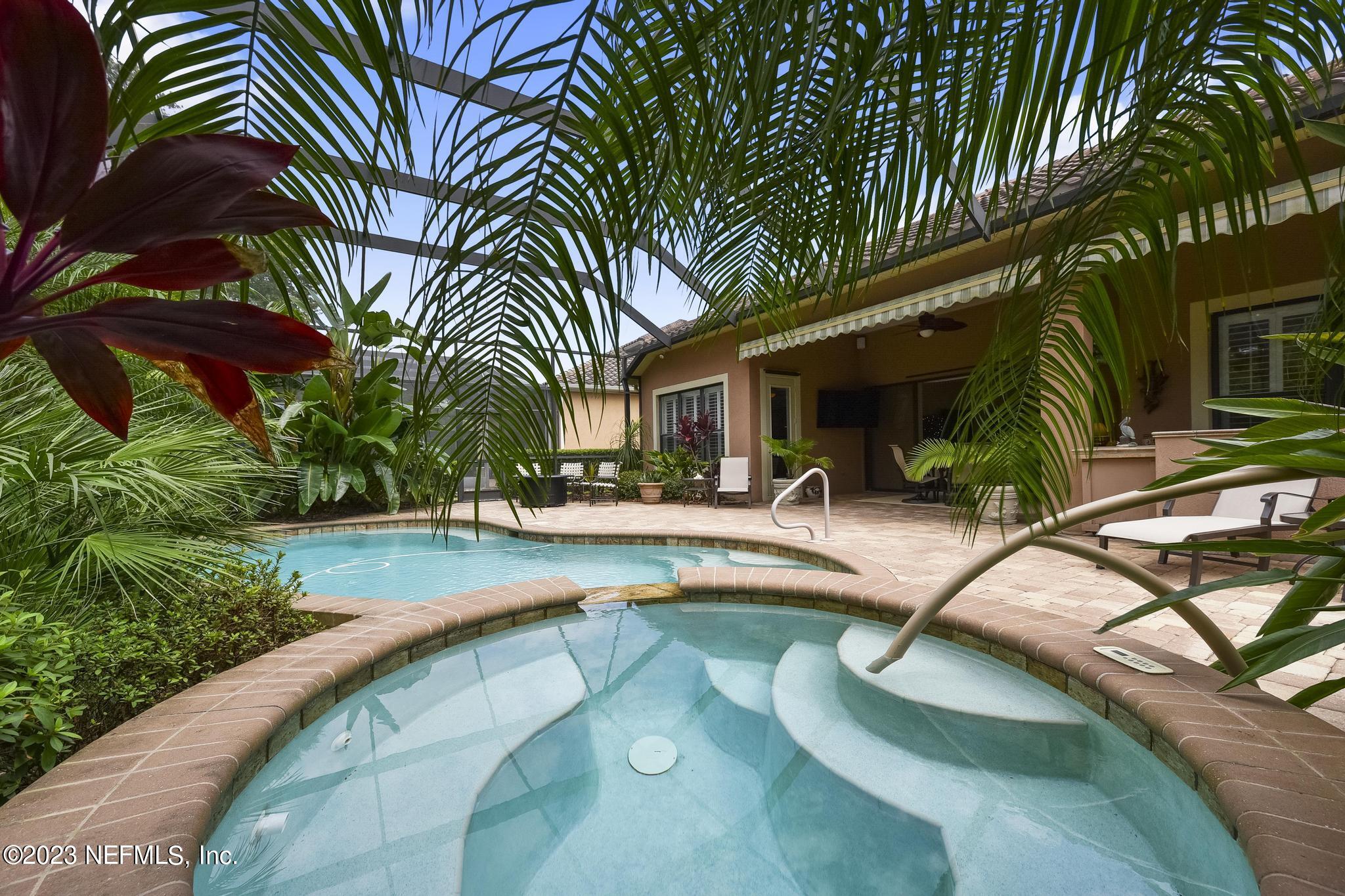 a view of swimming pool that has lawn chairs plants and palm trees