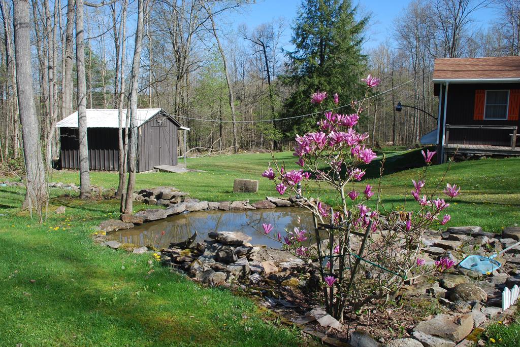 4683 Hatch Run Road Warren, PA 16365 - Photo 4 of 45 Gallery Image 4