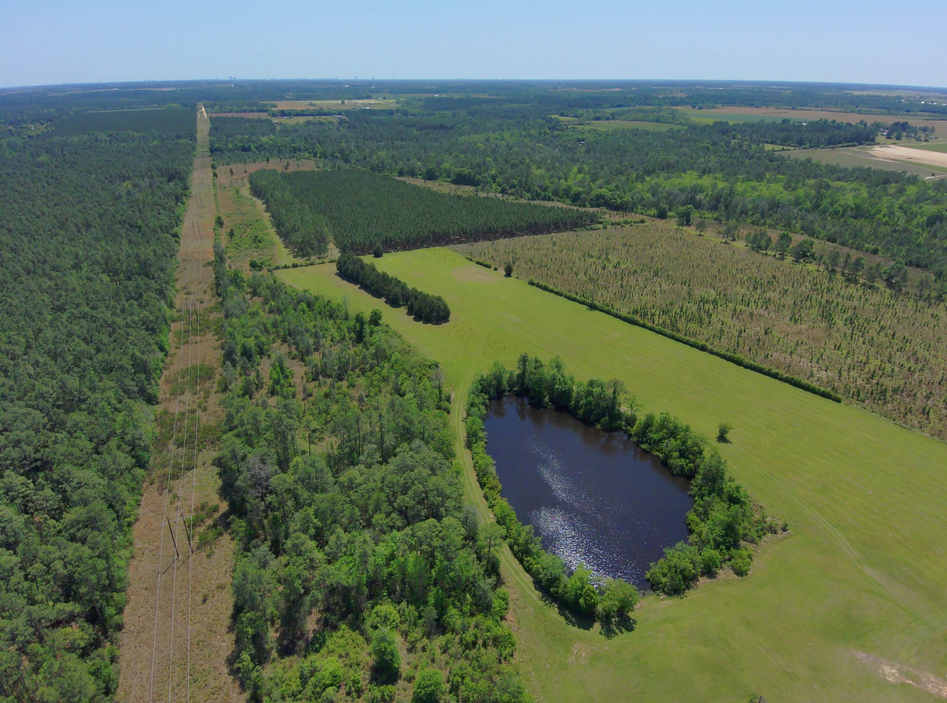 87 County Road 87 Elberta, AL 36530 - Photo 3 of 66