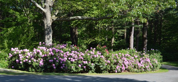 45 Beaver Pond Road Beverly, MA 01915 - Photo 30 of 30