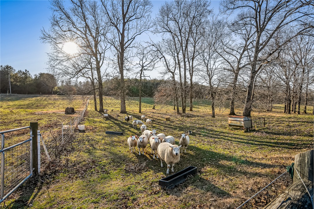 340 Fants Grove Road Anderson, SC 29625 - Photo 12 of 50 Gallery Image 12