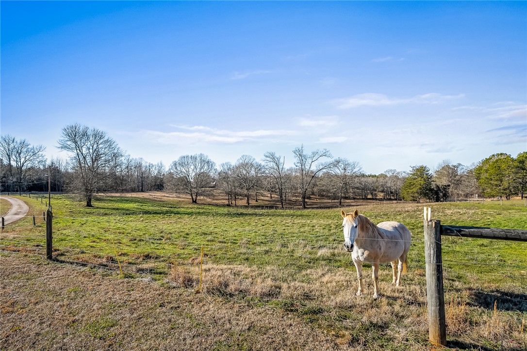 340 Fants Grove Road Anderson, SC 29625 - Photo 9 of 50 Gallery Image 9