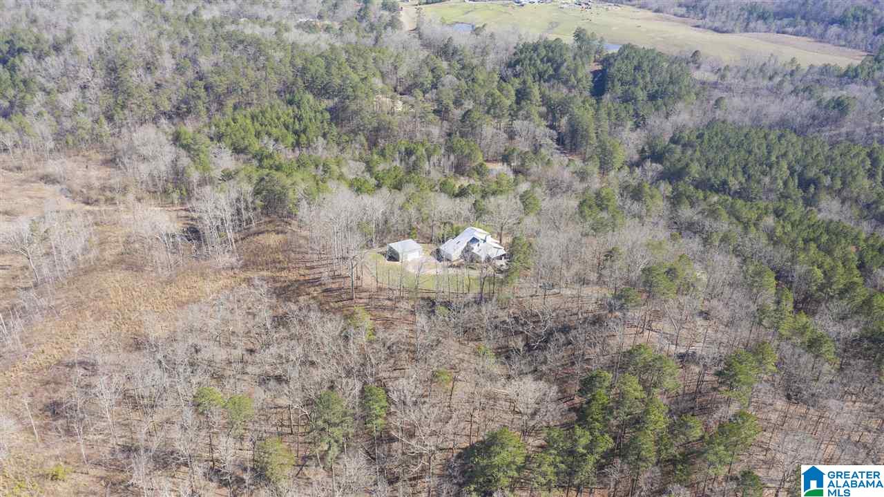 8737 Brasher Road Pinson, AL 35126 - Photo 44 of 50