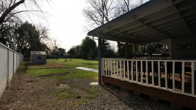 a view of backyard with green space
