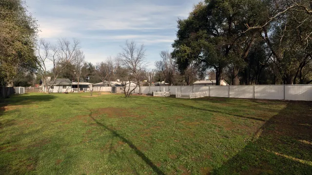a view of yard with tree s