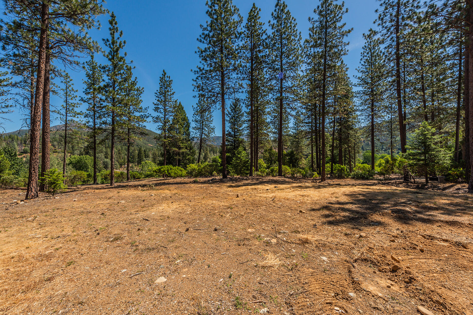 901 Dutch Creek Road Junction City, CA 96048 - Photo 30 of 70