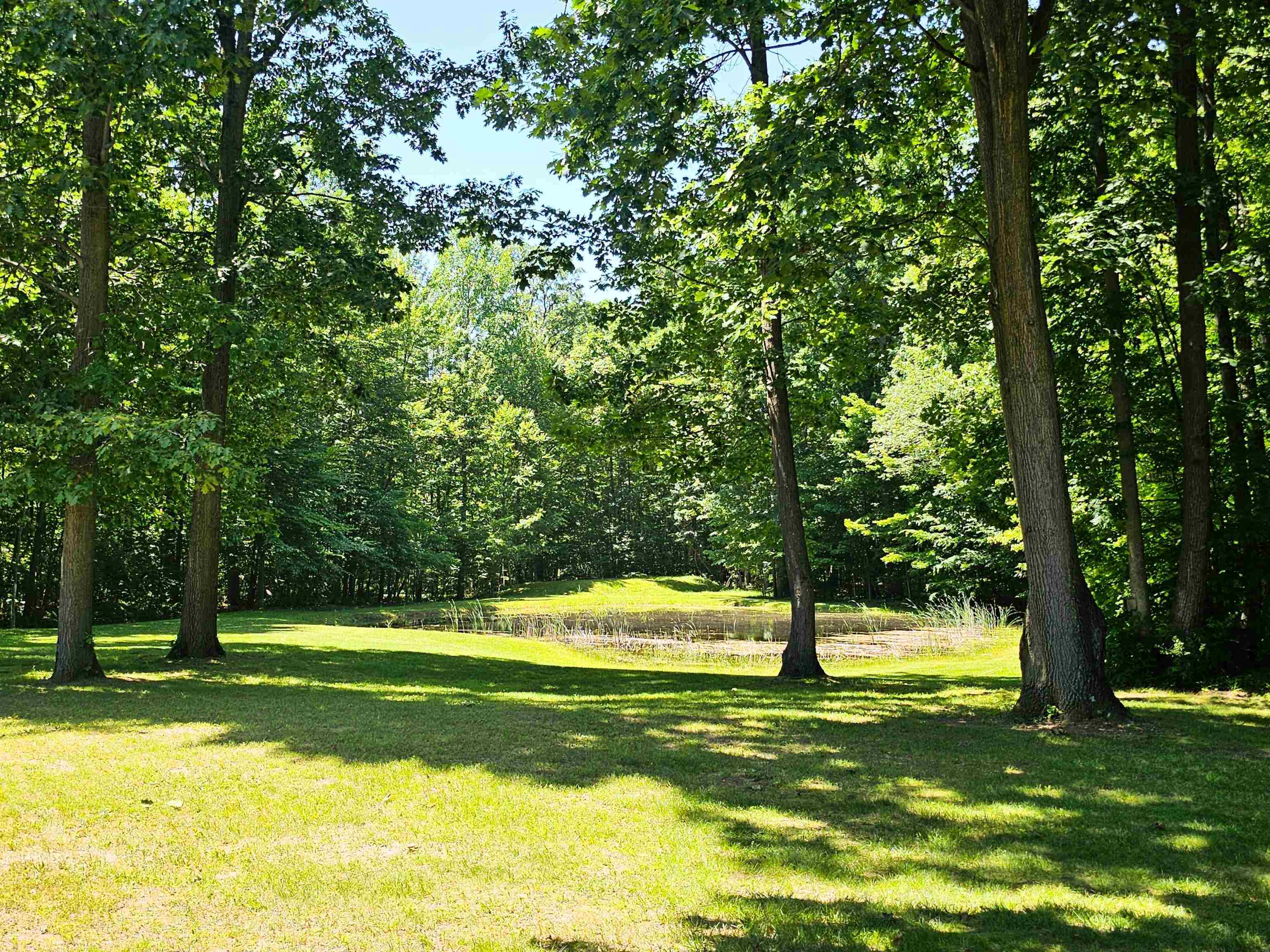 13287 McCumsey Road Clio, MI 48420 - Photo 49 of 57