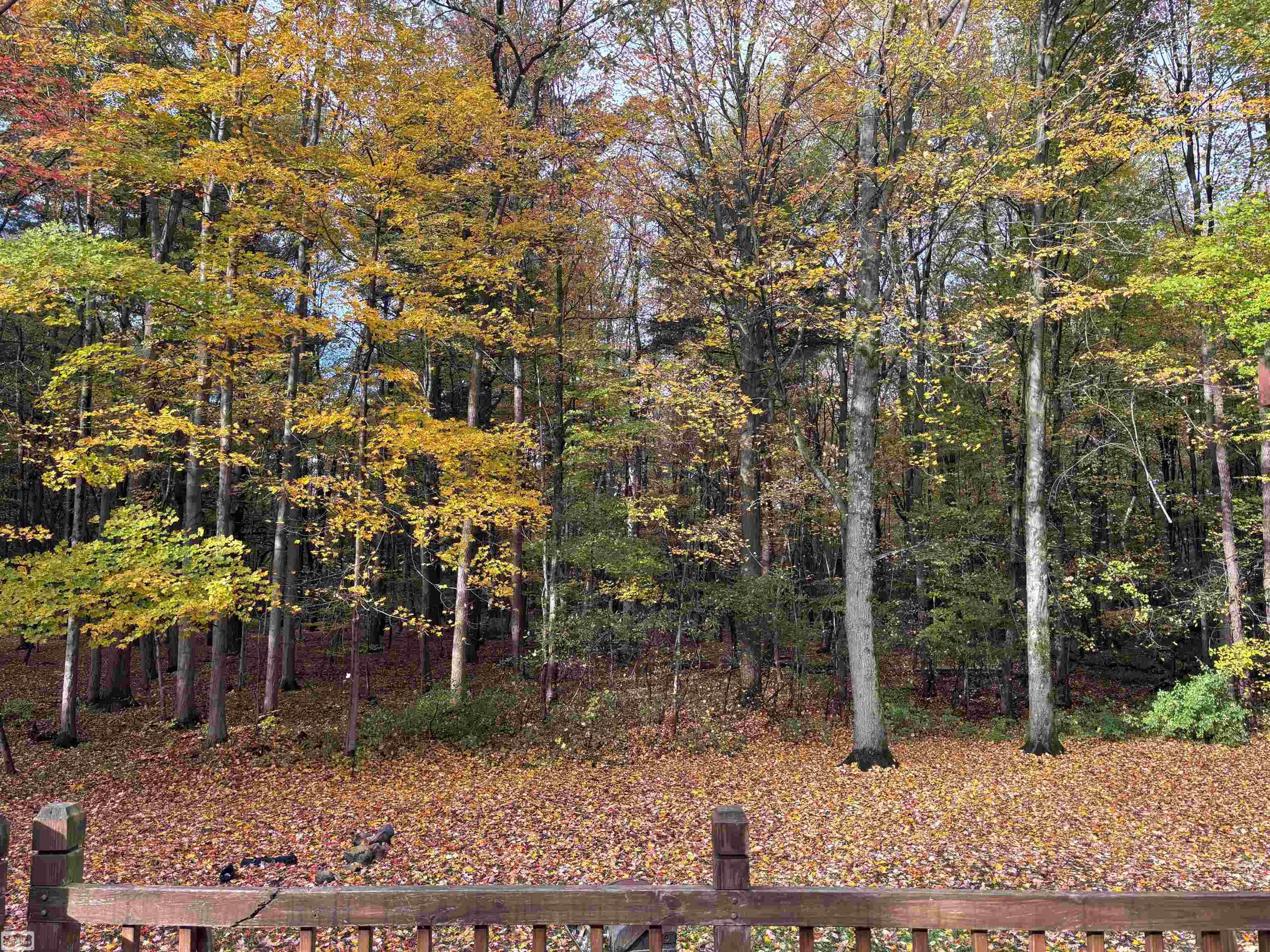 5473 Quain Road Emmett, MI 48022 - Photo 47 of 54 Gallery Image 47
