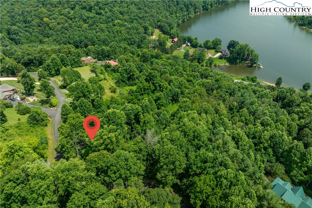 Lot 11 Lake Ridge Butler, TN 37640 - Photo 13 of 20 a view of a tree in a garden of a house