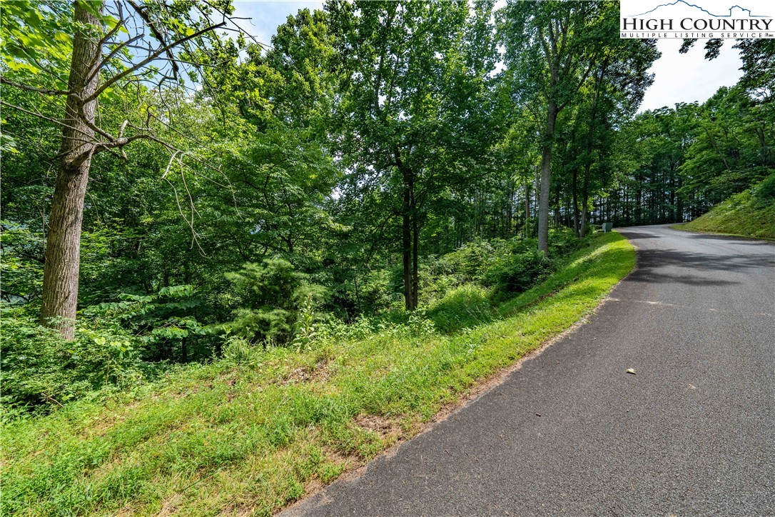 Lot 11 Lake Ridge Butler, TN 37640 - Photo 17 of 20 a view of a garden