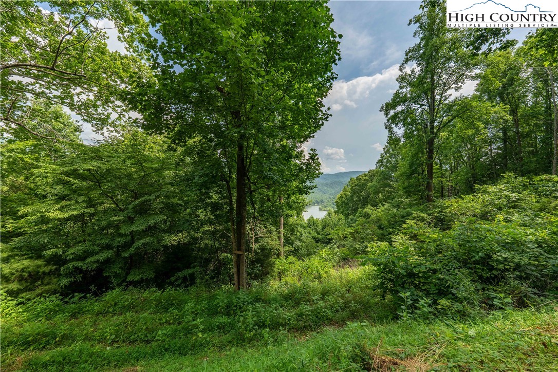 Lot 11 Lake Ridge Butler, TN 37640 - Photo 18 of 20 an aerial view of residential house with outdoor space and trees all around