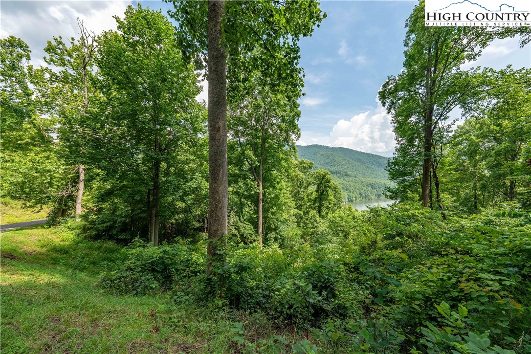 Lot 11 Lake Ridge Butler, TN 37640 - Photo 19 of 20 a view of a garden