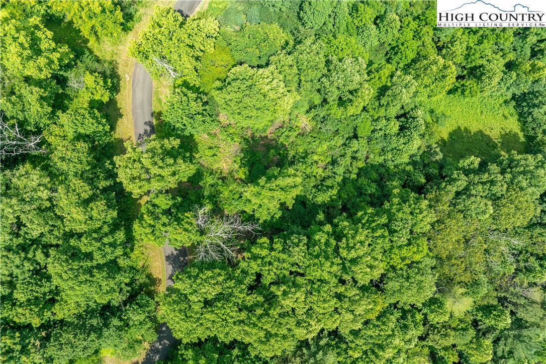 Lot 11 Lake Ridge Butler, TN 37640 - Photo 2 of 20 a backyard of a building with a yard