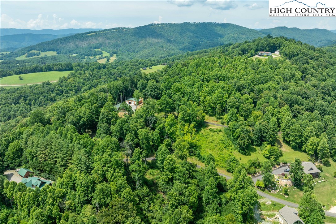 Lot 11 Lake Ridge Butler, TN 37640 - Photo 4 of 20 a view of a lush green field with lots of bushes