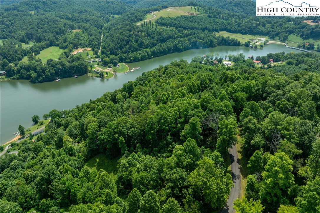 Lot 11 Lake Ridge Butler, TN 37640 - Photo 10 of 20 an aerial view of green landscape with trees houses and lake view