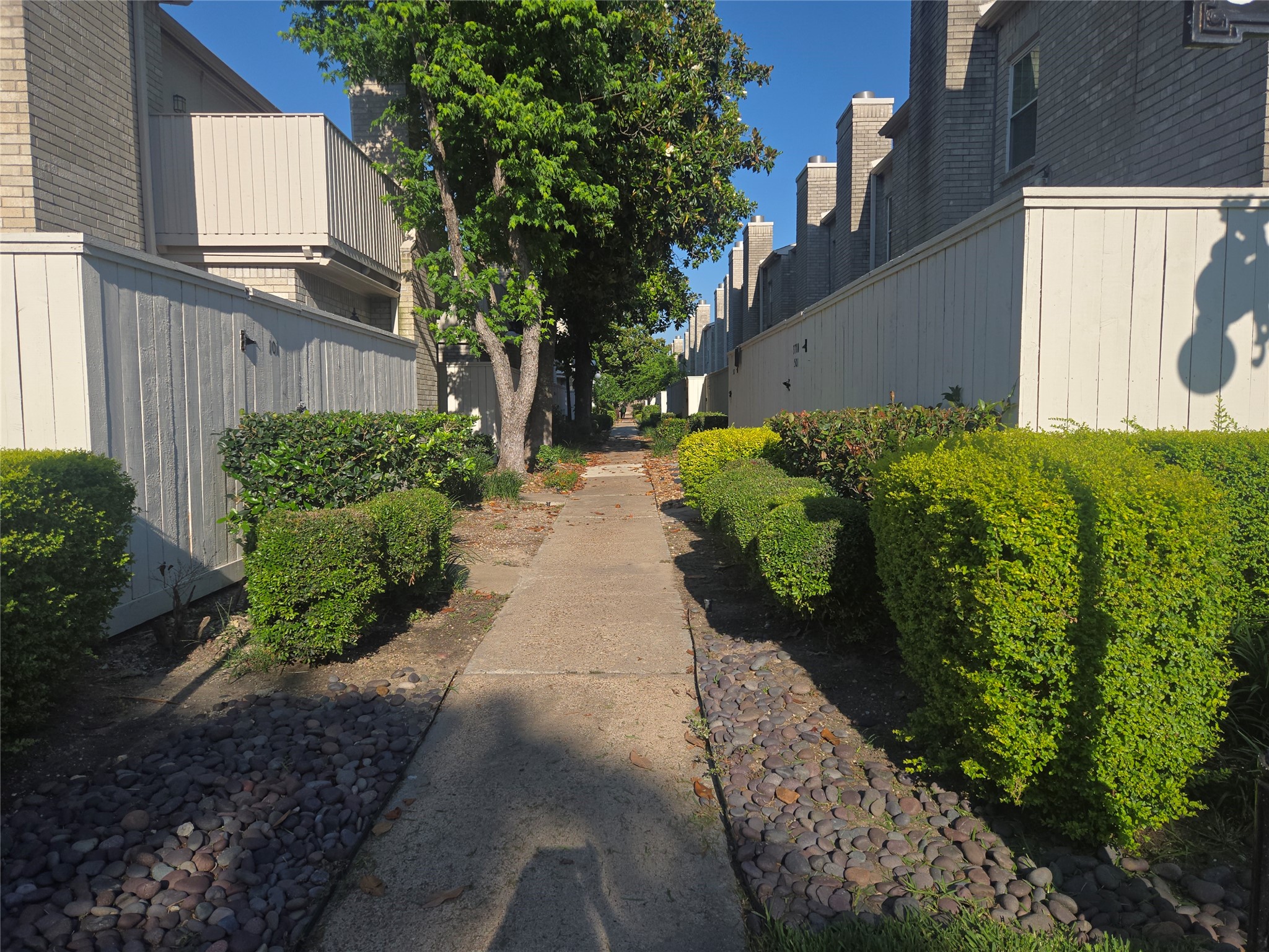 3780 Tanglewilde Street, Unit 501 Houston, TX 77063 - Photo 1 of 26 Charming walkway between townhomes with well-maintained hedges and trees, offering a peaceful and inviting atmosphere.