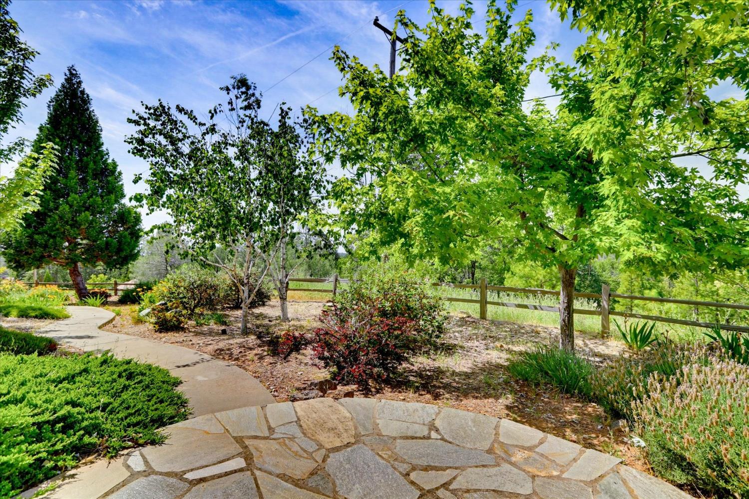 970 Morgan Ranch Drive Grass Valley, CA 95945 - Photo 60 of 76 a view of a park with large trees