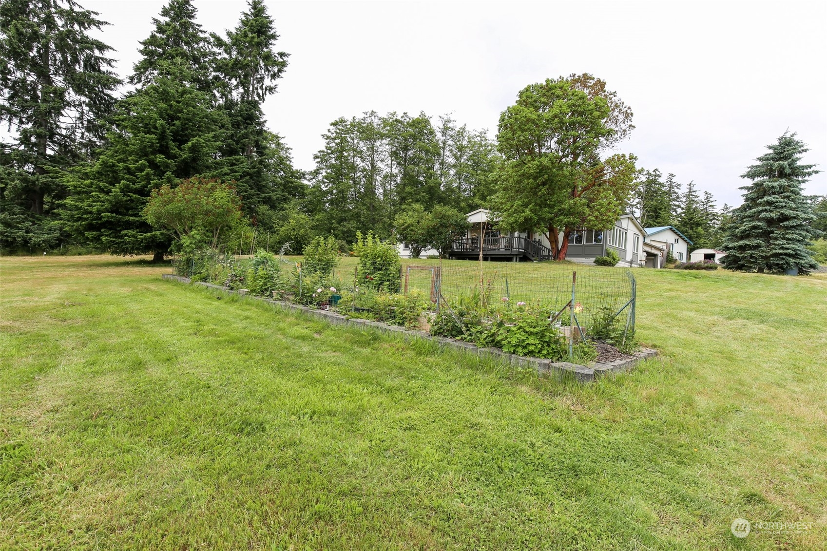 3374 Best Road Oak Harbor, WA 98277 - Photo 37 of 39 a view of a grassy field with trees in the background