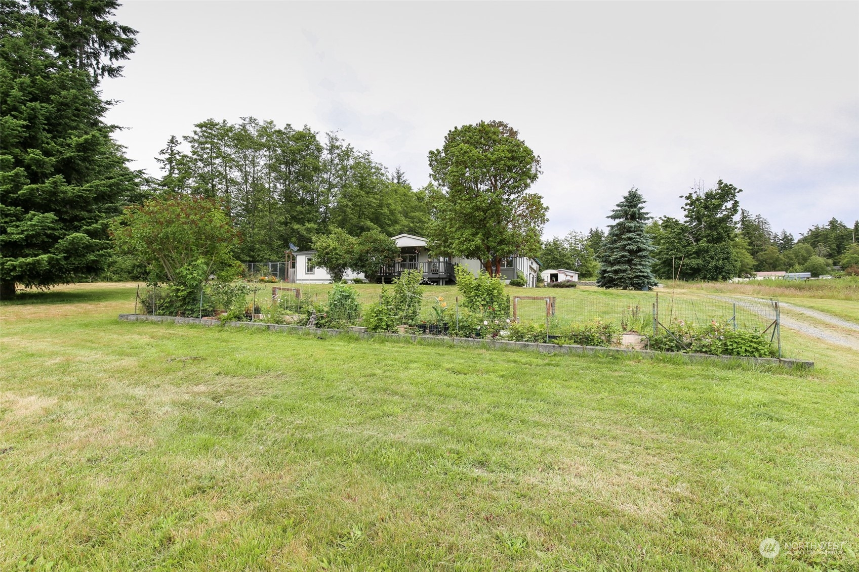 3374 Best Road Oak Harbor, WA 98277 - Photo 38 of 39 a view of a field with an trees