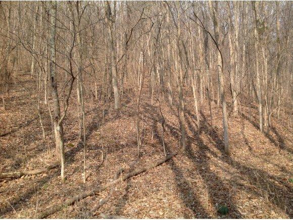 0 St Peters Road Brookville, IN 47012 - Photo 3 of 5