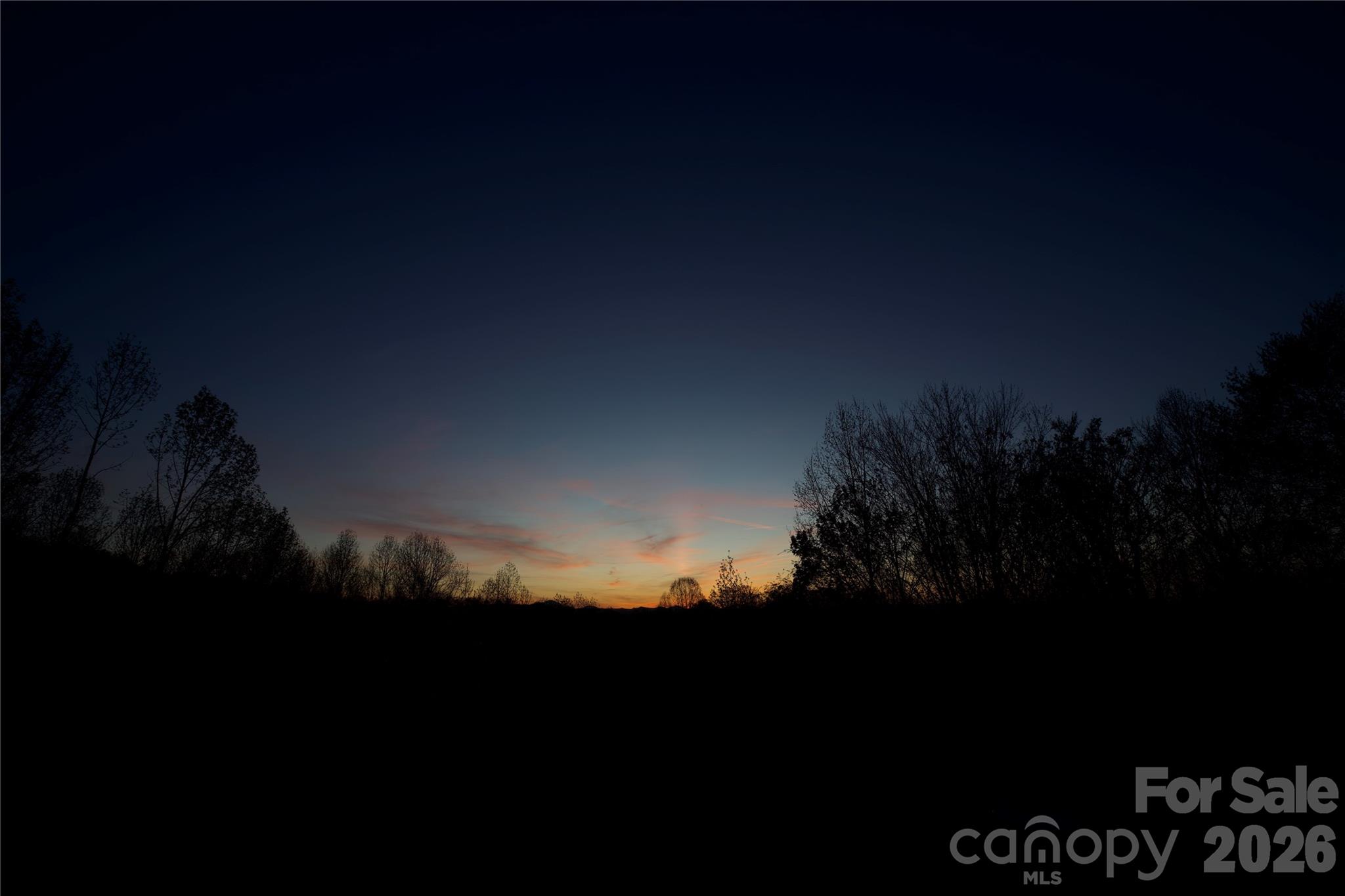 751 Hutch Mountain Road Fletcher, NC 28732 - Photo 47 of 48 a view of a sunset