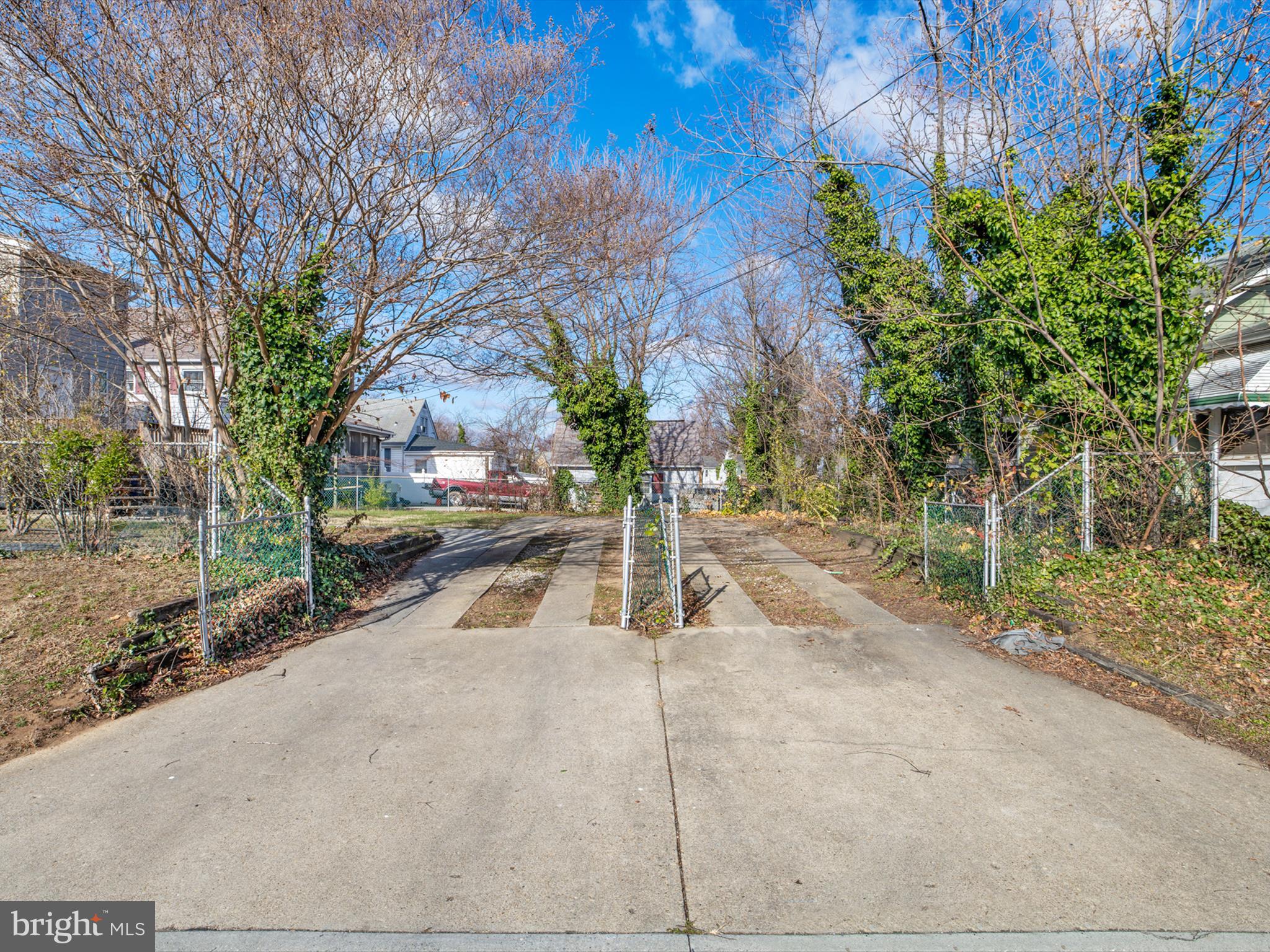 4129 5th Street Baltimore, MD 21225 - Photo 44 of 52 a view of a street with potted plants and large trees