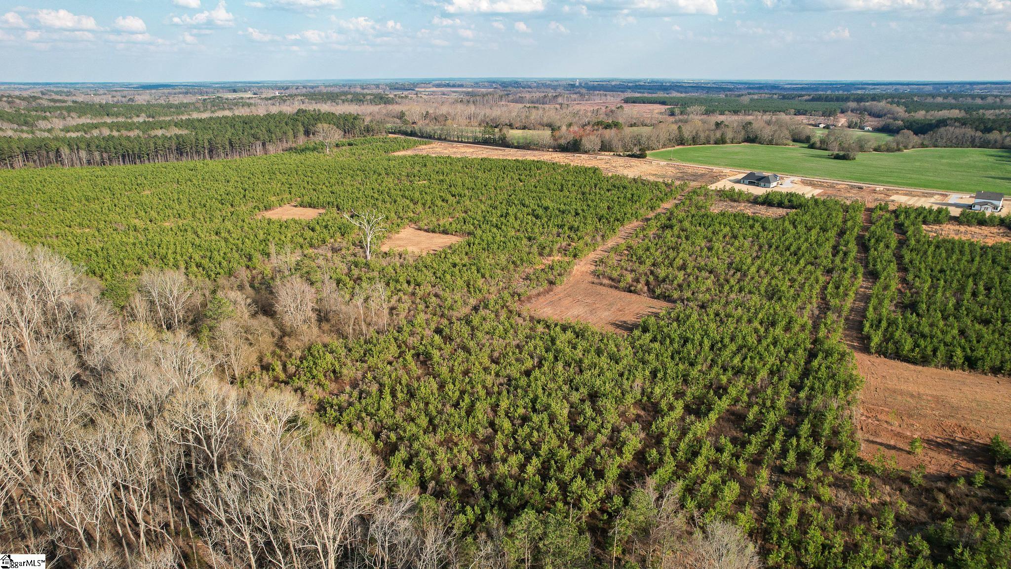 8 Young Road Clinton, SC 29325 - Photo 8 of 22 Gallery Image 8