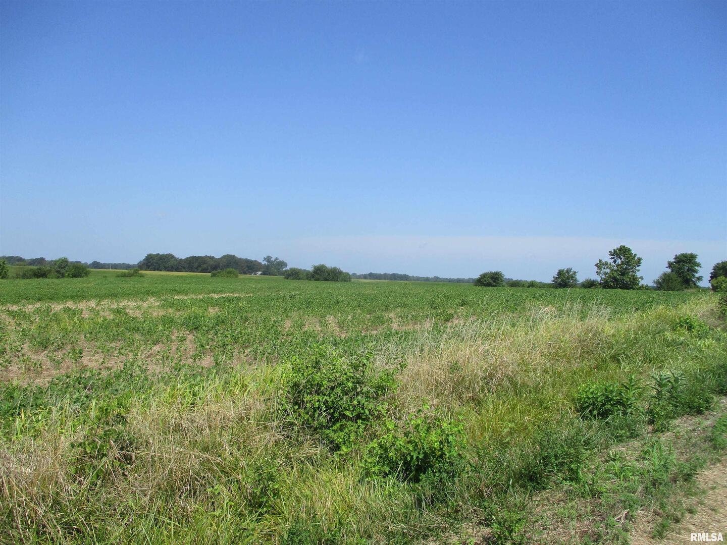 0 Bean Road Whittington, IL 62897 - Photo 7 of 8 a view of a garden with an ocean