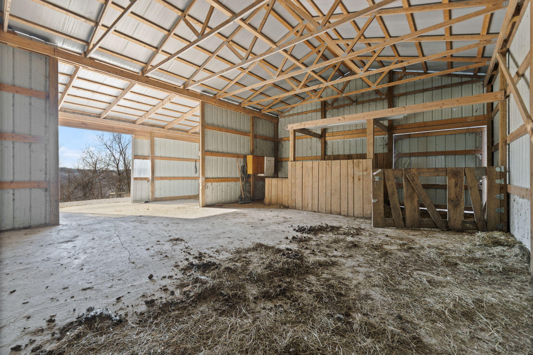 966 Oak Ridge Road Tollesboro, KY 41189 - Photo 59 of 77 7-web-or-mls-118A0234