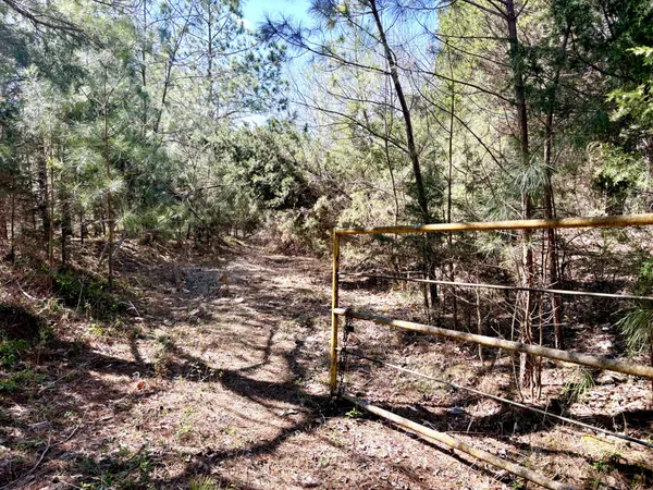 $699,000 | 1000 State Route 831, Greenville, KY 42345